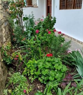 Leimebamba House | Yaku Wasi