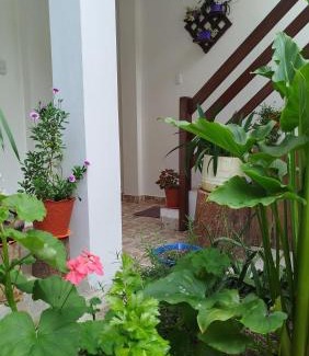 Leimebamba House | Yaku Wasi