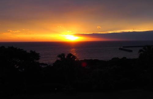 Anbo Hotel | Yakushima Green Hotel
