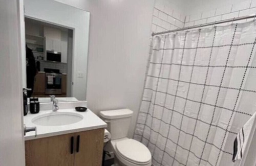 Dwight Apartment | Yale Haven Stay In New Haven