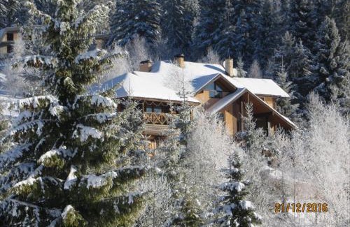 Oryavchyk Cabin | Yalivets
