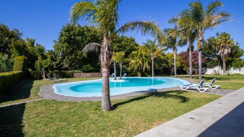 Constantia House | Yalwa house