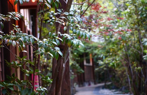 Oguni Hotel | YamakawaZENZO