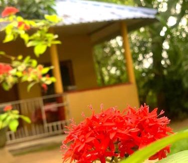 Maho House | Yapahuwa Relax Stay