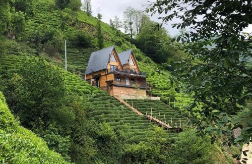 Rize Ski Chalet | Yeşil ravza bungolov