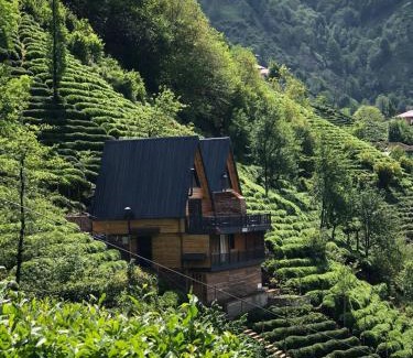 Rize Ski Chalet | Yeşil ravza bungolov