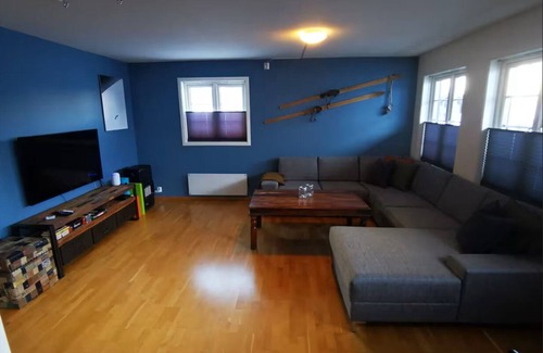 Roldal Apartment | Year-Round Escape – Ski, Hike & Explore Near Trolltunga & Fjords!