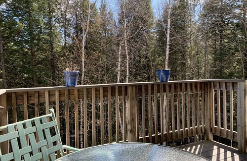 Warren Condo | Year Round Green Mountain Escape - Ski - Swim - Tennis - Hike - Golf