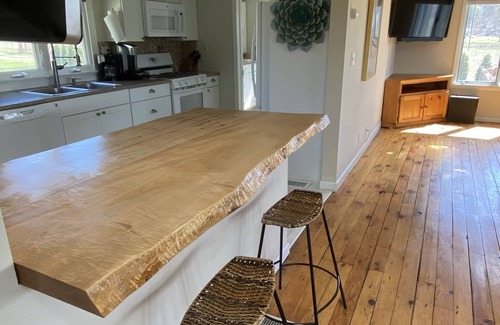 Crystal Beach House | Year-round lake home with no shower/flushing restrictions