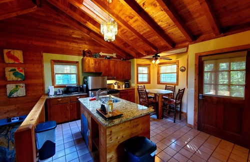 Blue Ridge Cabin | Year-round Mountain Views, nPet Friendly Just 5 miles to downtown Blue Ridge