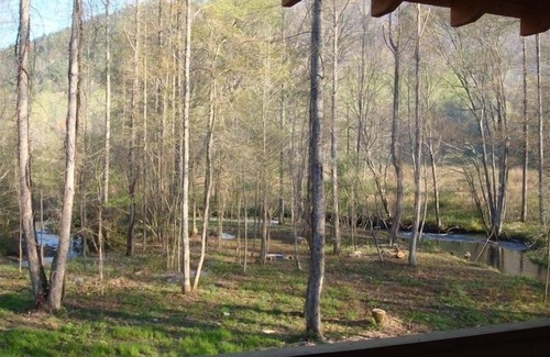 Robbinsville Cabin | Yellow Creek Cabin, Secluded, on Creek, N.C. Trout Stream, near Fontana