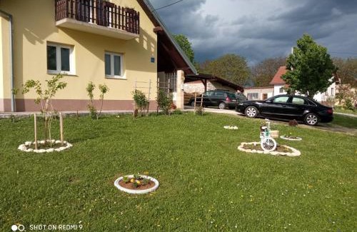Irinovac Apartment | Yellow Rose