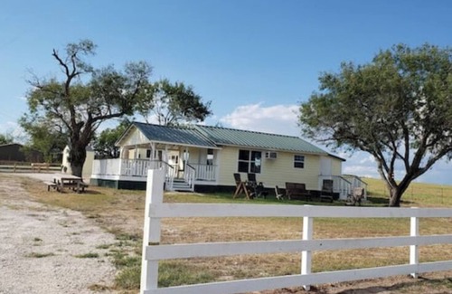 Pettus House | Yellow Rose