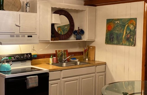 Winchester Apartment | Yellow Submarine trendy basement apt and courtyard