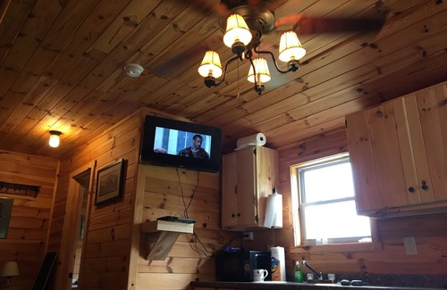 Galeton Cabin | Yellow Warbler Cabin 10 minutes to Cherry Springs