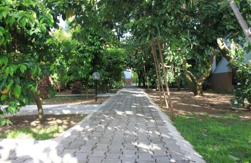 Cirali Resort | Yildiz Pension Bungalows