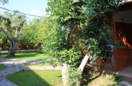 Cirali Resort | Yildiz Pension Bungalows