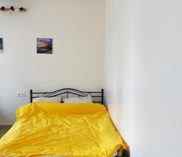 Front de Lac House | YLt333