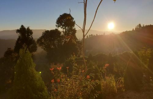 Mukteshwar House | Yogi Greenwood Cottage