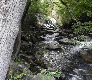 Bryson City House | Yogi House Meditation Retreat