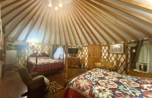 Veneta Bed & Breakfast | Yogi's Den is a playfully themed Yurt starring Yogi the bear and his pals.