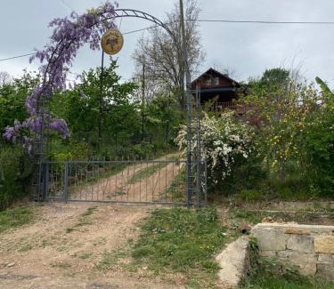 Fatsa Villa | yok