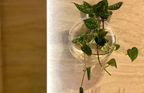 Taguatinga Hotel | Yolo Motel