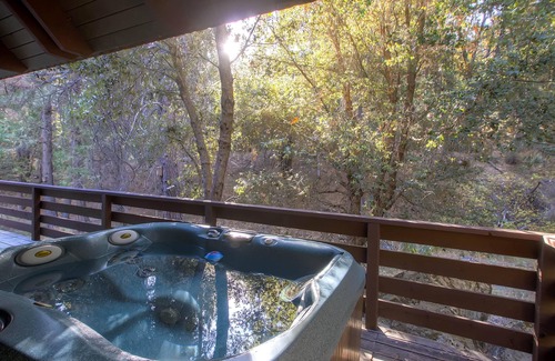 North Wawona House | Yosemite's Creekside Birdhouse