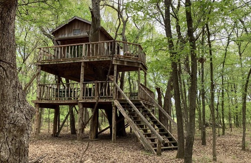 Gainesville Other | You can't be any more closer to the nature!