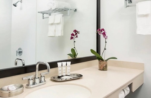 Lower Allston Hotel | You Found It! 2 Convenient Units, Parking, Near Boston College