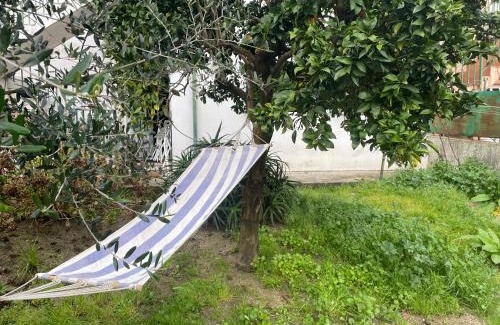 Sao Goncalo Apartment | You have to love Amarante