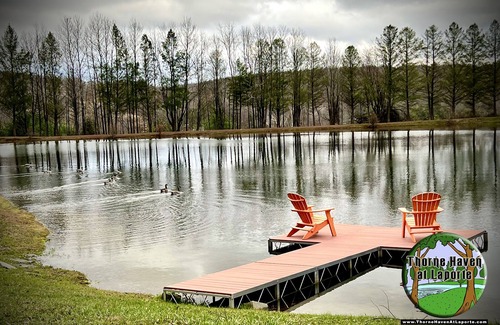 Laporte House | You Won't Want to Leave!