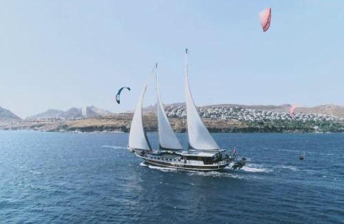 Kotor Boat Rental | Your accommodation in Kotor bays
