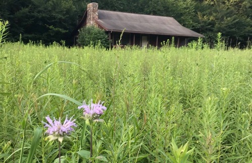 Elkins House | Your Adventure Awaits! Breathtaking views and Private River Access!
