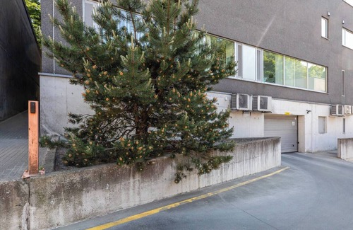Old Town Apartment | Your Dream Flat in the City Centre + Free Parkingn