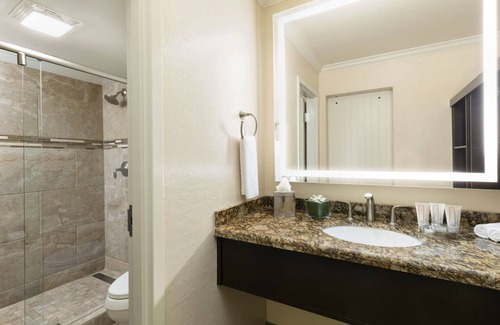 South Scottsdale Resort | Your Fun Packed Arizona Vacation! 2 Modern Units, Short Drive to OdySea Aquarium
