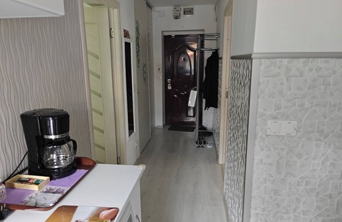 Tirgu Mures Apartment | YOUR HOME AWAY