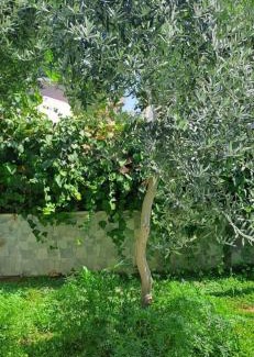 Kadnlar Denizi Mahallesi House | Your Home in Kusadasi