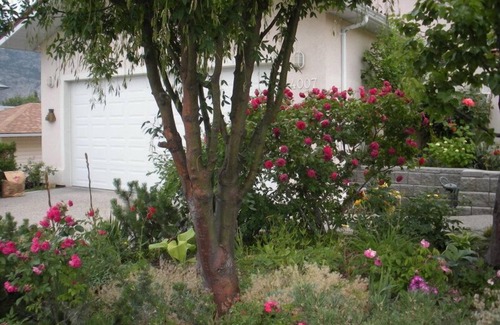 Okanagan-Similkameen House | Your home in the South Okanagan.