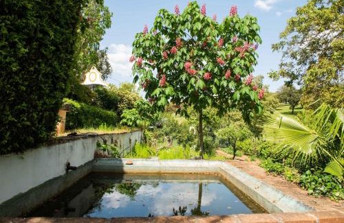 Montemor-o-Novo House | Your Montemor-o-Novo Mansion Escape