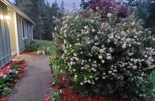 McKenna House | Your Own Peace, Privacy and Seclusion on 5 acres All to Yourself