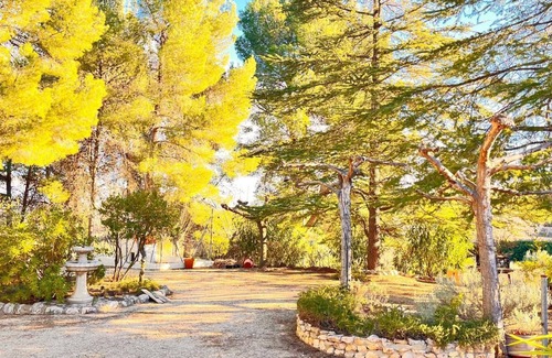 Ontinyent Cottage | Your peaceful escape surrounded by nature in the hills of Ontinyent.