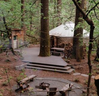 Nevada City Other | Your private Yurt in the woods - Nevada City