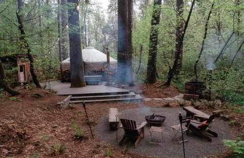 Nevada City Other | Your private Yurt in the woods - Nevada City