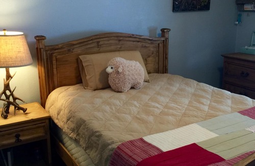 Florissant Cabin | Your scenic mountain getaway!