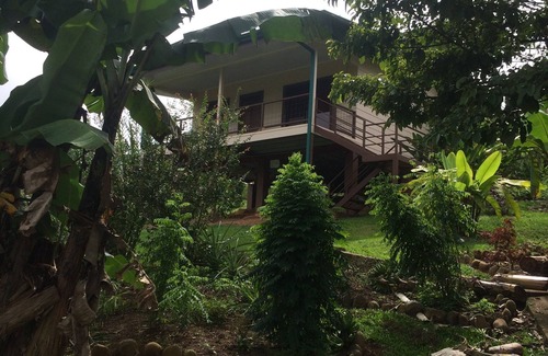 Pejibaye House | Your tropical getaway in the beautiful southern Pacific mountains of Costa Rica.