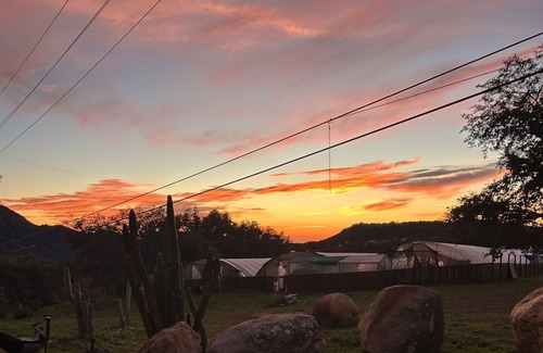 Jamul RV Rental | Your Ultimate Glamping Destination at GoodVibes Ranch & Farm!