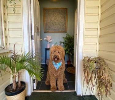 Myrtleford Apartment | Yours and Theirs Pet Friendly Accommodation