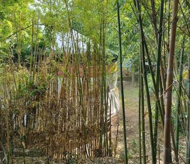 Croix-d'Argent Other | Yourte à La Campagnette