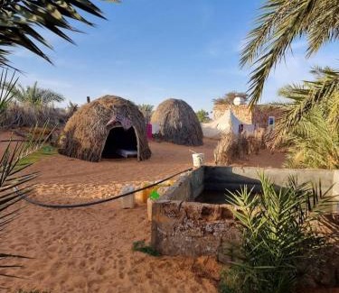 Adrar Apartment | Youth Hotel